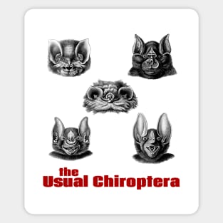 The Usual Chiroptera Sticker